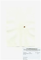 藏品(旋花藻)的圖片